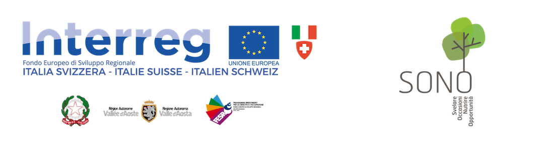 Interreg-Italia-Svizzera-con SONO 1100x283-V1