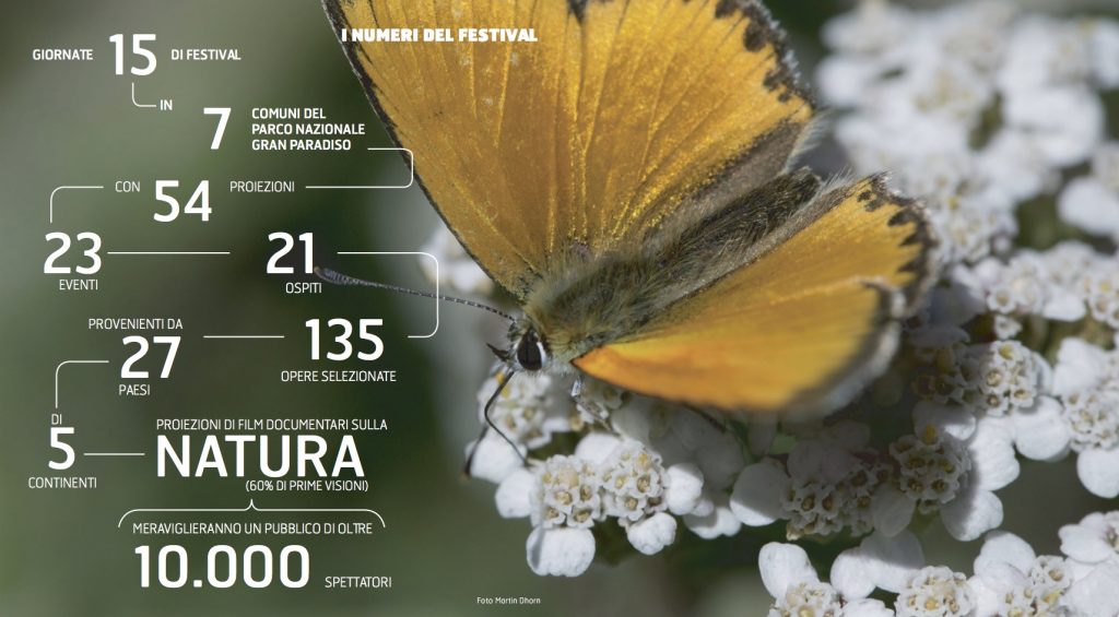 GPFF 22 diventa volontario numeri del festival